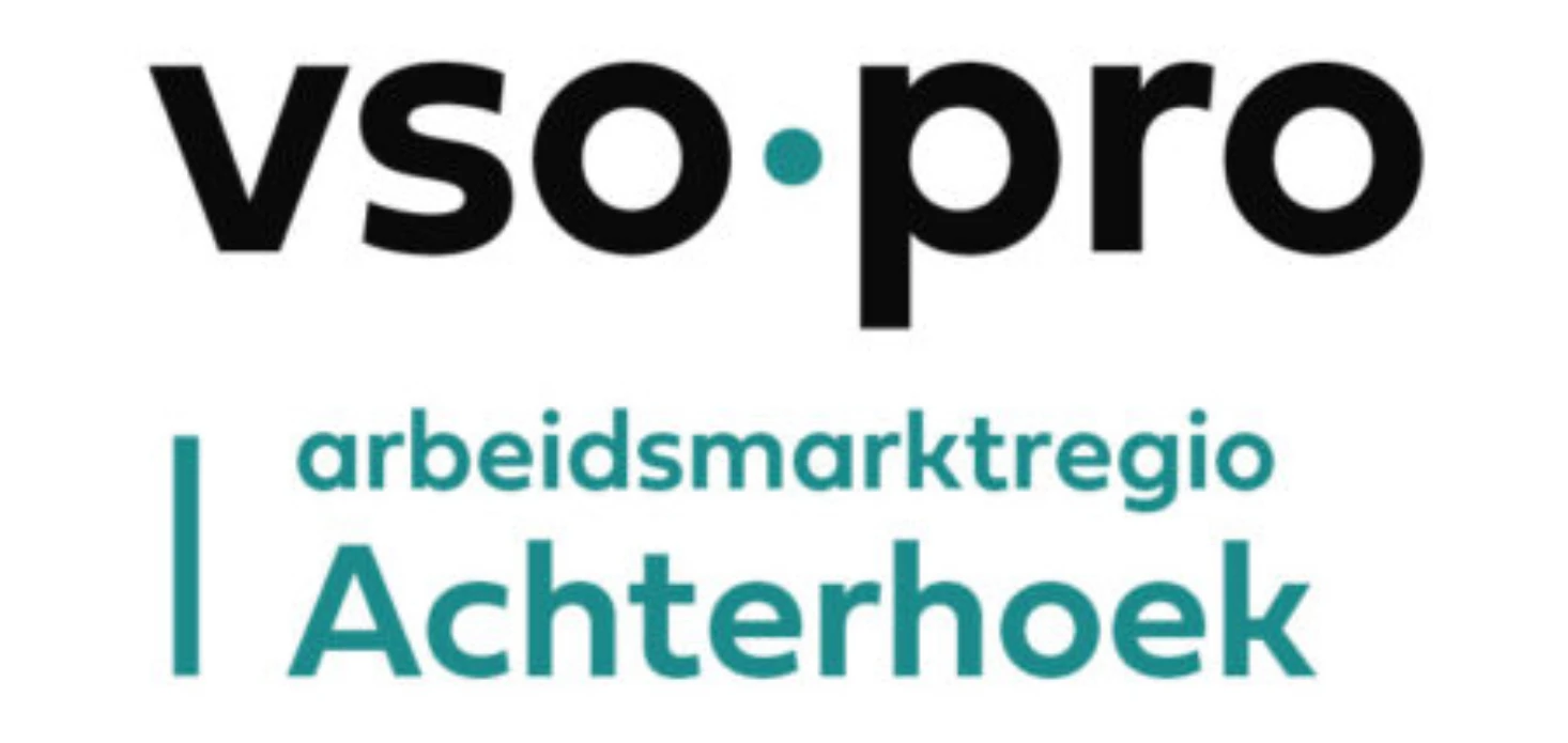 Logo Vso Pro 2